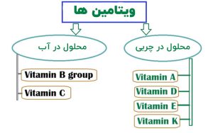 بهترین زمان مصرف و کارایی ویتامین ها