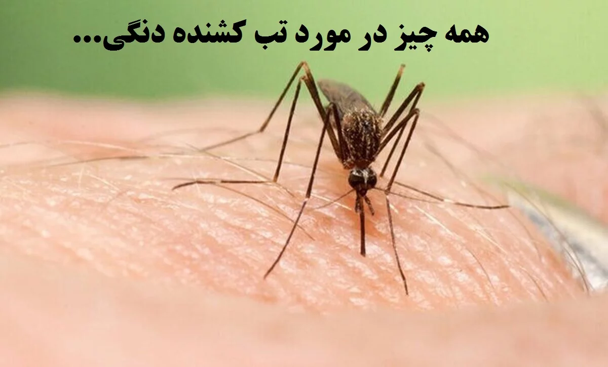 تب دنگ