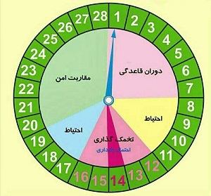 سیکل قاعدگی